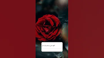 صلو عليه شفيع الأمة سامي يوسف ستوريات أنستا 