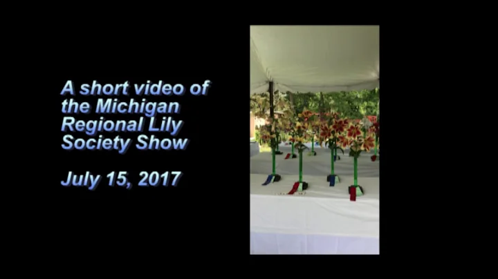 2017 MRLS Lily Show Video Clip