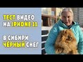 Съемка видео на Iphone 11. Круто, или разочарование? Шпиц Оливия хитрит, шпиц Бэлла завидует