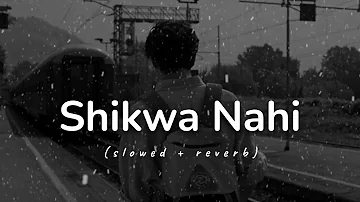 Shikwa Nahi (slowed + reverb) | Nadeem Shravan, Amjad Nadeem | Sheena Bajaj | soft Slowed