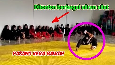 Jurus Monyet IKSPI Keluar Dihadapan GASMI PSHT & SILAT Lain