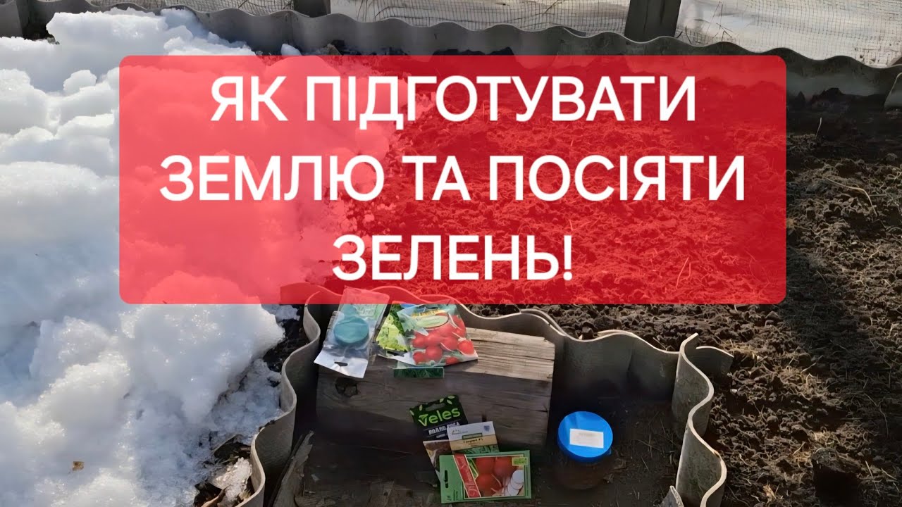 ДАЧА. ТАК ЗАВЖДИ РОБЛЮ,.ЩОБ МАТИ РАННЮ  РЕДИСКУ ТА САЛАТИ!