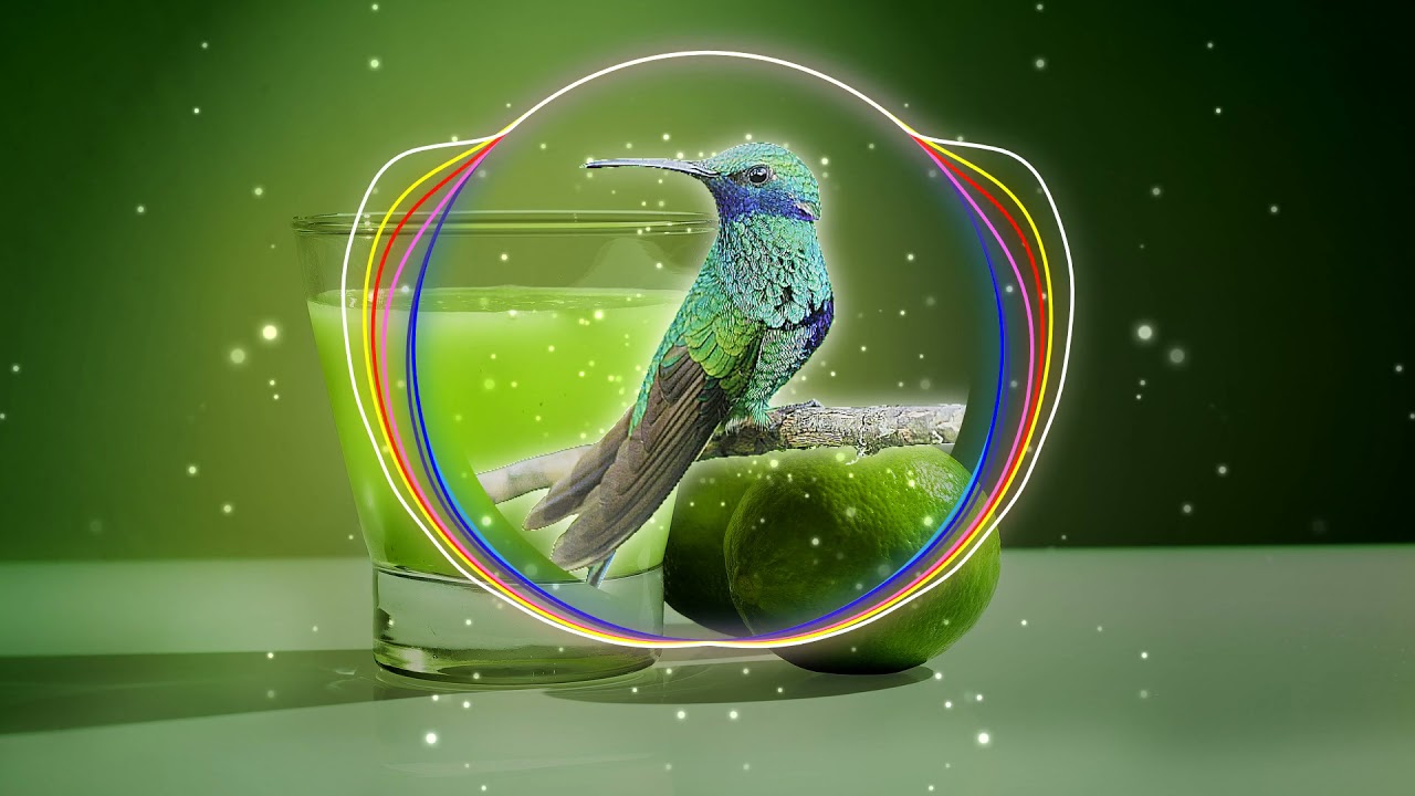 Tubebackr - Juice 🥥🍒🍑no copyright music 🥥