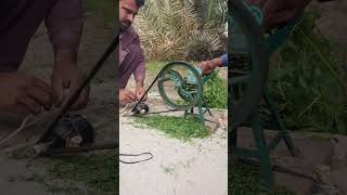 Mini Bleno Motor Cutting Grass#youtubeshorts #shortfeed #viral