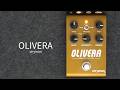 シンプルに見えて個性派!超ナチュラルなエコー【Strymon / OLIVERA】