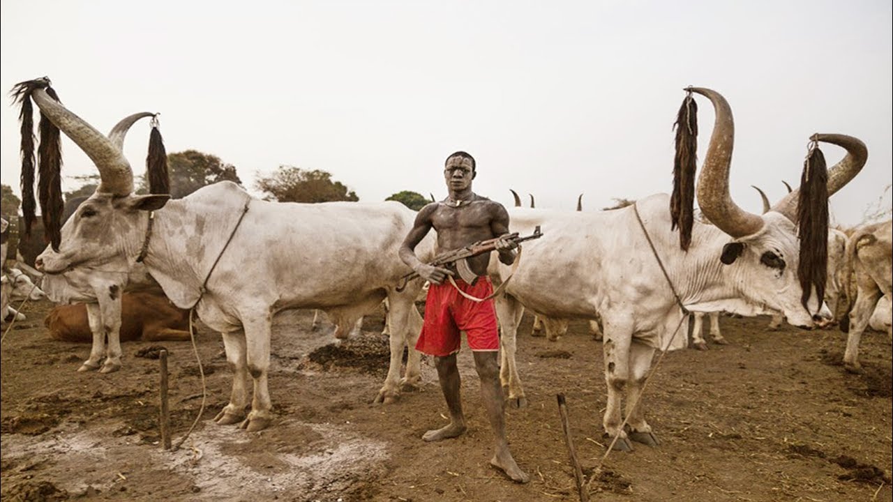 This Tribe Dying For Their Cows In South Sudan