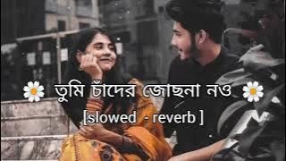 তুমি চাঁদের জোছনা নও। Tumi Chader Joscna nou। Lo-Fi Gaan। bangla Lo-Fi music।