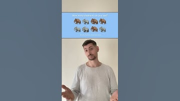 How many elephants do you see? #elephant #eyetest #guessinggame #interactive