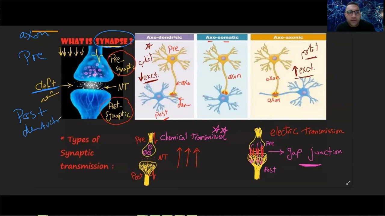 CNS Introduction crash course د/الشريف
