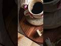2 Popular Instant Coffees with a Focus on Purity and Quality