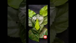 Nature inte anugraham Ila kond Ganesh 🌿🐘 #diy #art #shortvideo #drawing #leafart