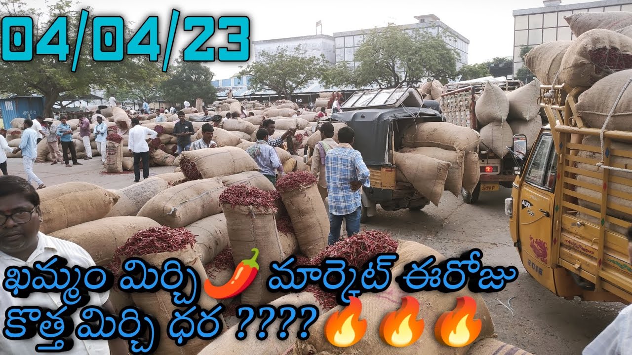 Khammam Mirchi Market Rate Today 04/04/23 ఖమ్మం మిర్చి మార్కెట్ ధర