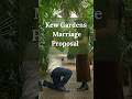 Kew Gardens engagement photo session