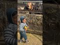 kids loves for cow #shortsfeed #religious #cowmata #animallover #cutebaby #cutekids