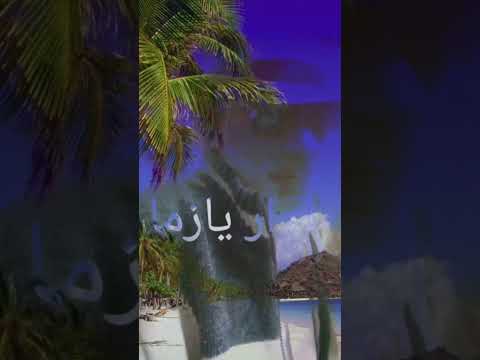 الدنيا زي الفرس