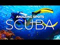 Amazing Scuba Spots | EMBRACE WONDER in these Best Places to Scuba Dive in the World