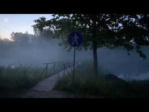 Welcome And Goodbye Dream Lvory Slow Reverb