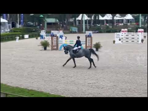 GRIMSKY SEMILLY (Cornet Obolensky x Diamant) 6YO CSIYH1* Royan 2022