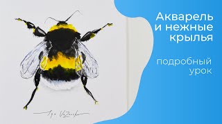 Как нарисовать КРЫЛЬЯ акварелью и всего ШМЕЛЯ, полный урок акварели для начинающих