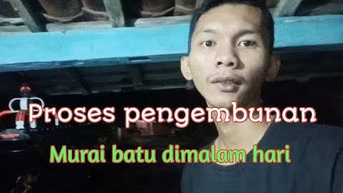 Proses pengembunan burung murai batu dimalam hari