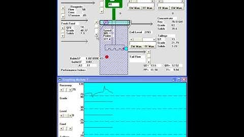 Dynamic Simulation example of mineral flotation process