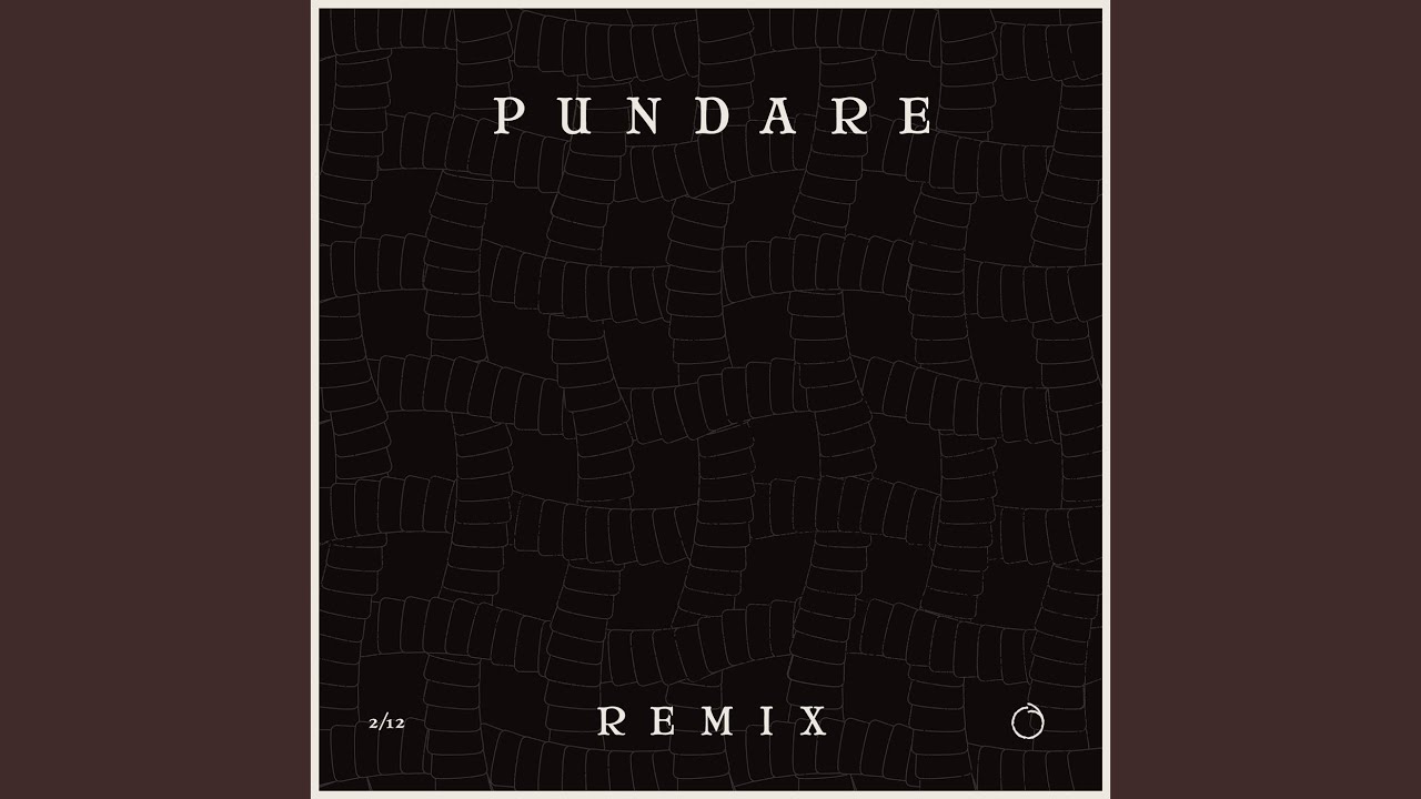 Pundare (Rapstep Remix)