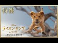 超実写版「ライオン・キング:ムファサ」特報|2024年12月20日(金)劇場公開!