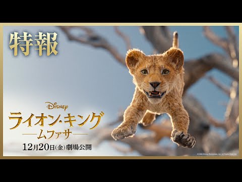 超実写版「ライオン・キング：ムファサ」特報｜2024年12月20日（金）劇場公開！