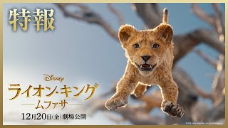 超実写版「ライオン・キング：ムファサ」特報｜2024年12月20日（金）劇場公開！