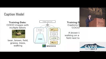 Captioning Images With Diverse Objects