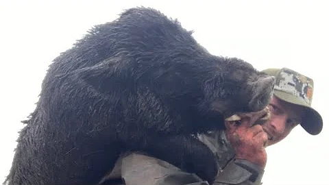 Unexpected Boar | 3 Hogs Down | Pig Hunting New Zealand. NZ Hunting