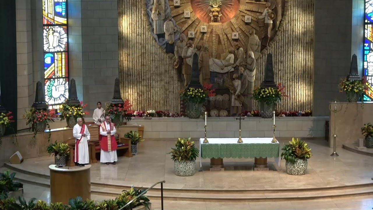 Monday of the Twenty-eighth Week in Ordinary Time, 11:30am Mass - YouTube