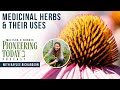 EP: 405 Medicinal Herbs &amp; Their Uses with Kaylee Richardson