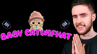 ADEUS DOGWIFHAT | CHEGOU A BABY CATWIFHAT