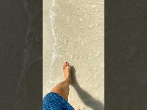 عمرو دياب راجع والحنين بياخدني للطريق اللي كنت فيه اكسبلور بحر 