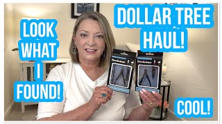 DOLLAR TREE HAUL Look What I Found NEW ITEMS LOVE DT