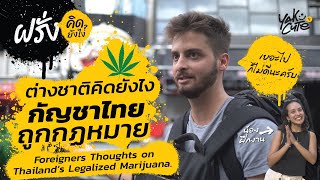 ต่างชาติคิดยังไงกับกัญชาเสรีในไทย • Foreigners on Thailand's Legalized Cannabis #ฝรั่งคิดยังไง