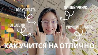 видео: Методы Учёбы Которые Сделают Вас Лучшим Учеником картинка: Методы Учёбы Которые Сделают Вас Лучшим Учеником