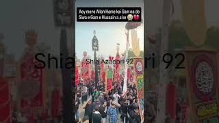 ya Hussain 🥺🥺#matam#memes#nohahazratabbas#khamenei#yaali#yahusain#yaabbas#noha#aazadari#explore#fyp