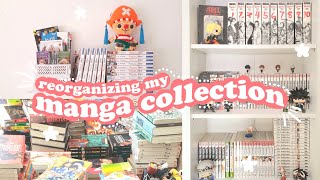 reorganize my manga collection ✨|| shelving asmr (450+ volumes)