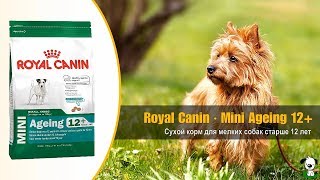 Сухой корм для собак мелких пород старше 12 лет · Royal Canin Mini Ageing 12+ Сухой корм для собак мелких пород старше 12 лет · Royal Canin Mini Ageing 12+