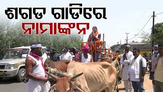 Odisha Elections 2024| NNKS candidate Sonali Bisi arrives in bullock cart, files nomination