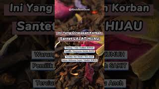 Download Lagu Ini Yang Dirasakan Korban Santet LALAT HIJAU MP3