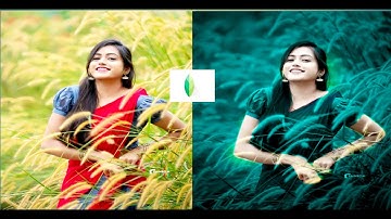 Snapseed Green And Bird Effect Photo Editing Tutorial