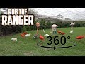 Beautiful Birds! Flamingos, Ibises, and Egrets (In 360° VR)