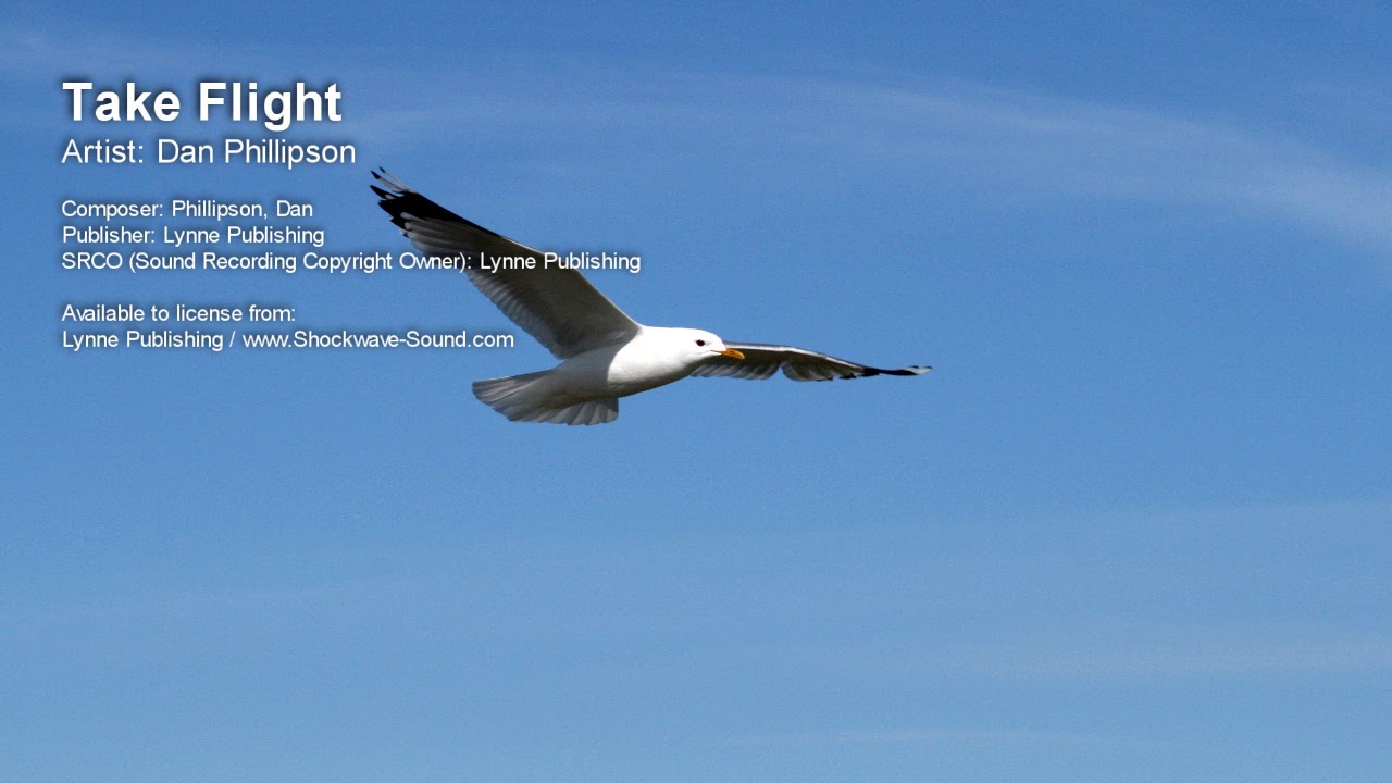 Watch Take Flight - Dan Phillipson (Lynne Publishing) on YouTube Watch Take Flight - Dan Phillipson (Lynne Publishing) on YouTube