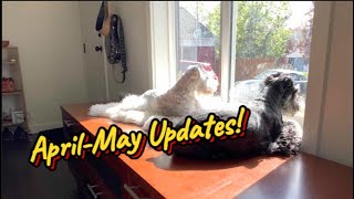 April-May Update of Loki and Marty