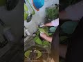 beberes dulu sekalian nunggu hujan reda