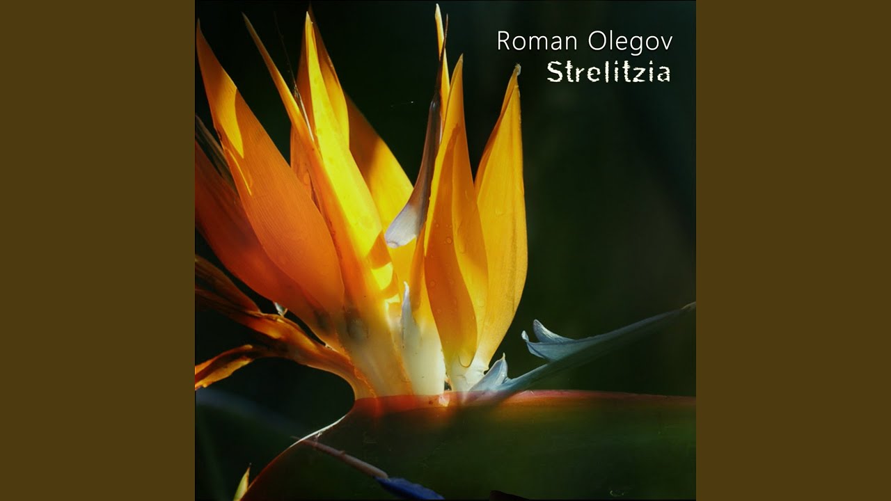 Watch Strelitzia on YouTube Watch Strelitzia on YouTube