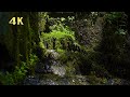 【4K】Calming Small Waterfall Sounds in Forest | Relaxing Nature Sounds, White Noise for Study